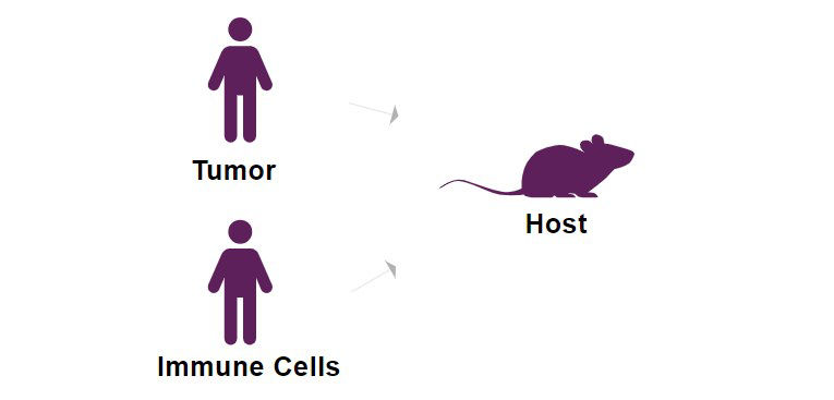 NOG Portfolio Mouse Strains for Oncology & Immuno-Oncology NOG Portfolio Mouse Strains for Oncology & Immuno-Oncology