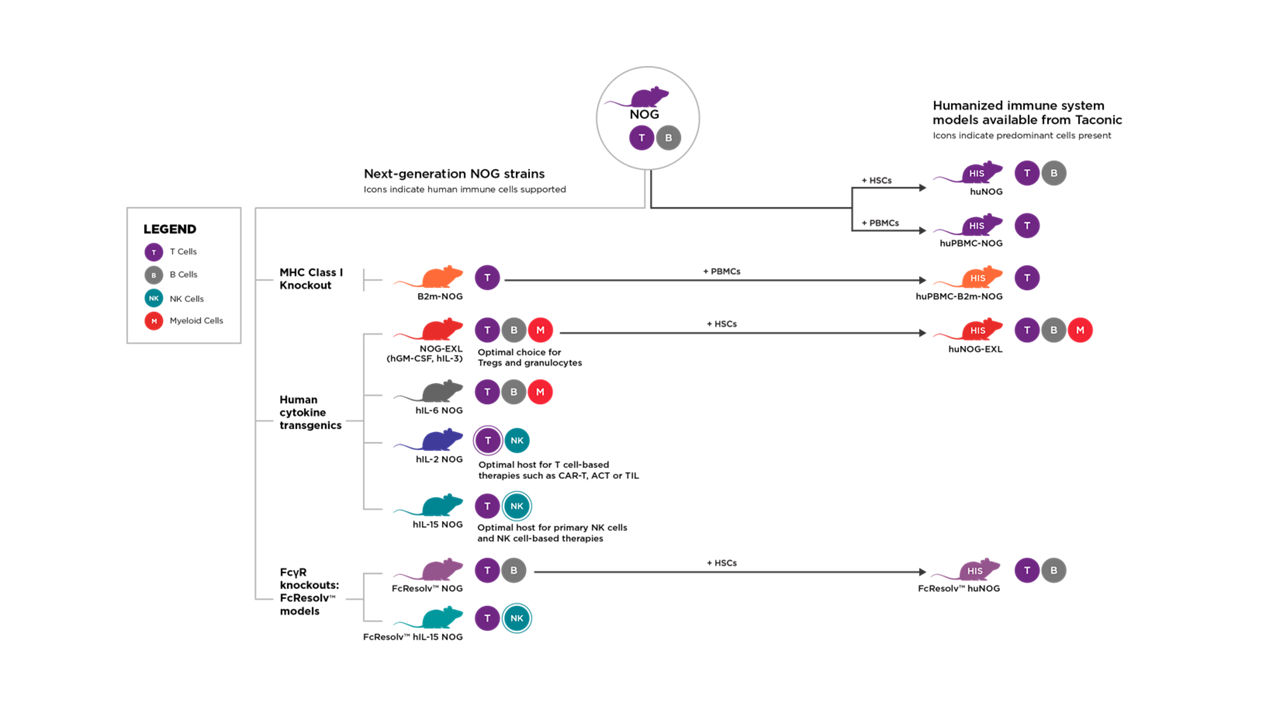 chart depicting NOG portfolio