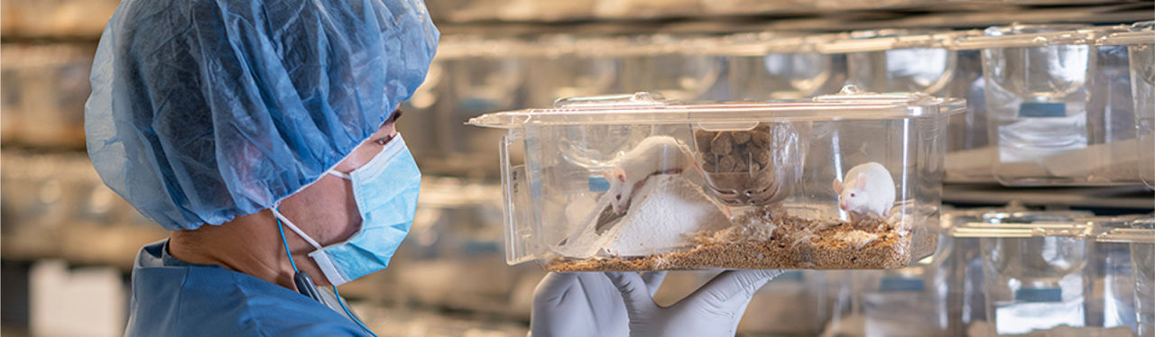 Gowned employee inspecting mouse in cage