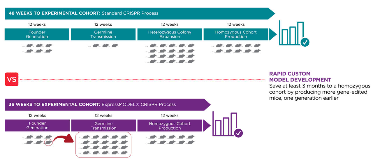 express model timeline