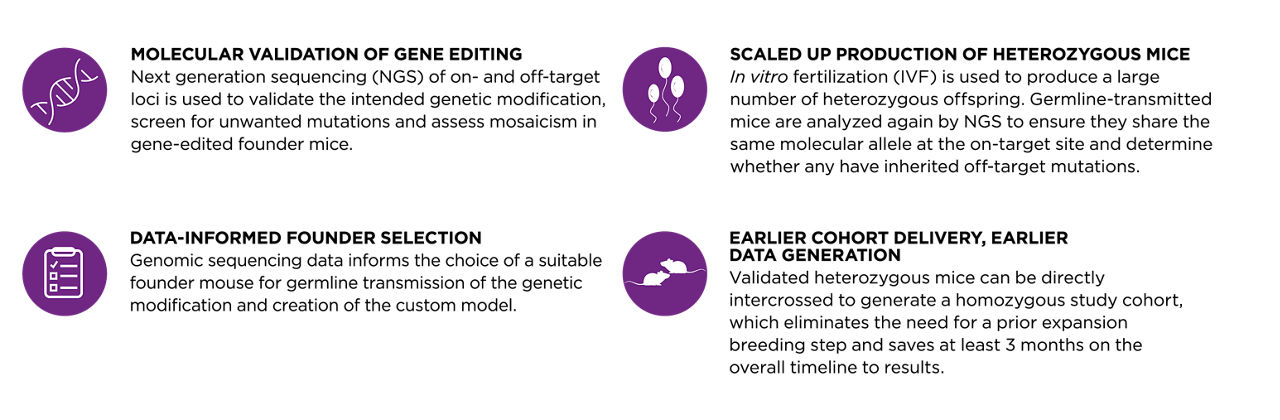 express model timeline