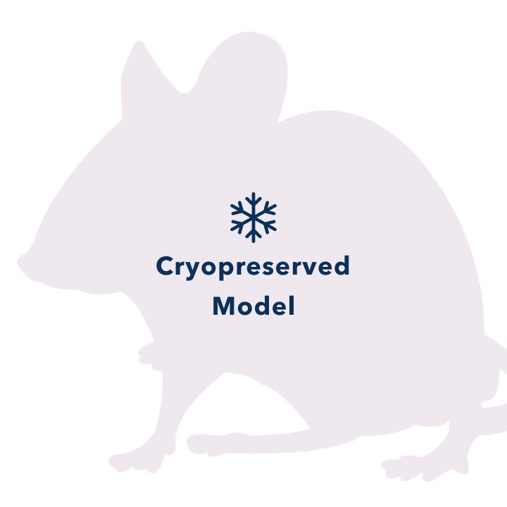 hTH-GFP (Autosomal Insertion) Cryopreserved Rat Model
