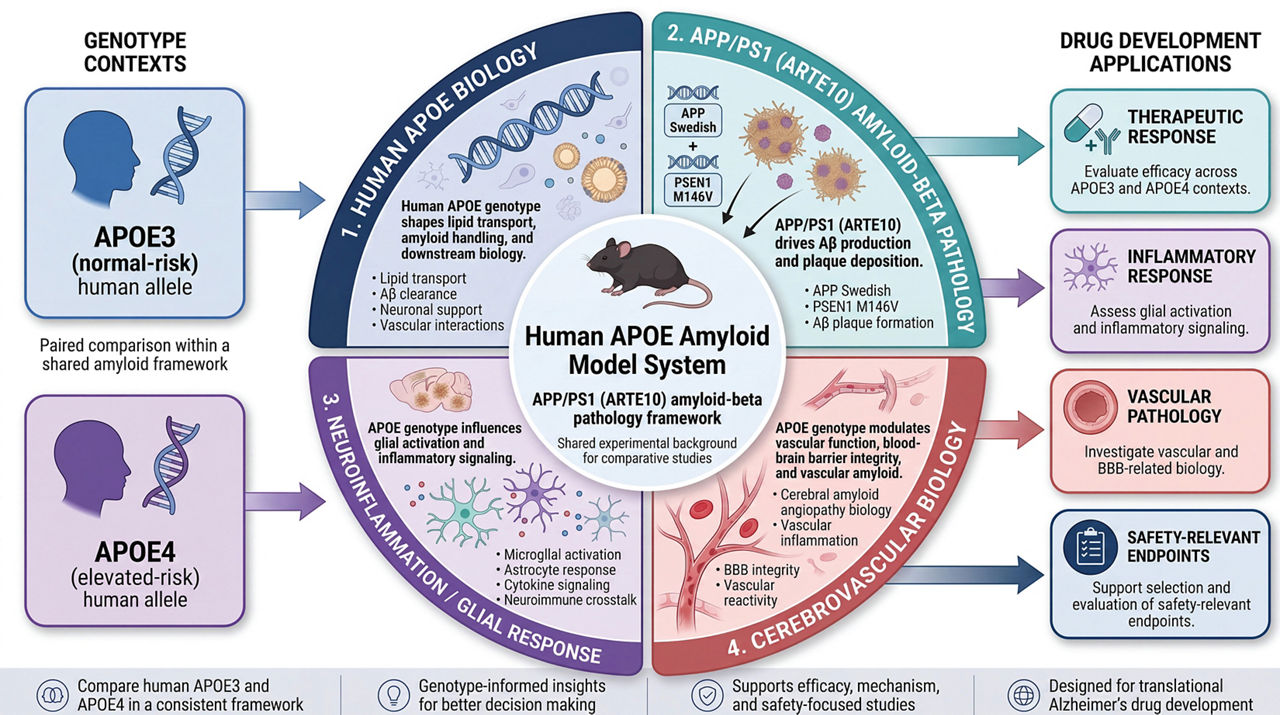 APOE ARTE10 Infographic