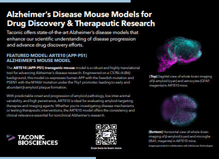 neuroscience portfolio