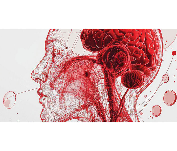 blood brain barrier