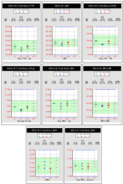 Eight sample plots of DEXA scan data for mice of varying genotypes.