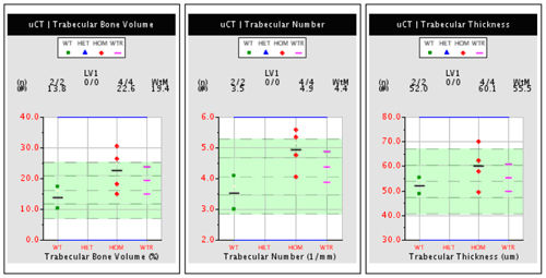 Three sample plots for trabecular bone volume, number and thickness.