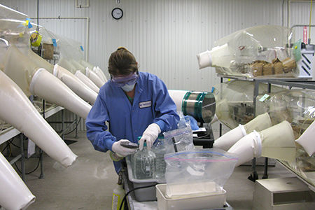 researcher with mouse in germ-free environment