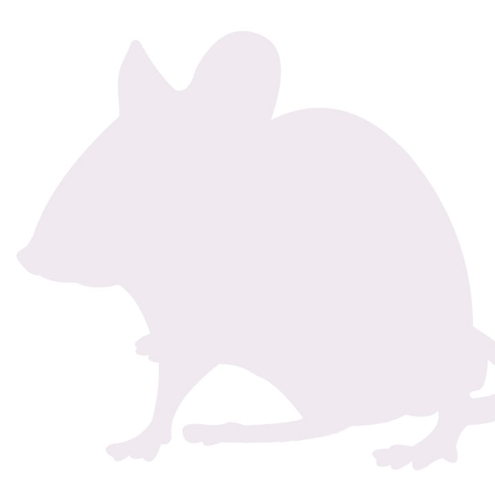 TK-NOG Mouse Model 