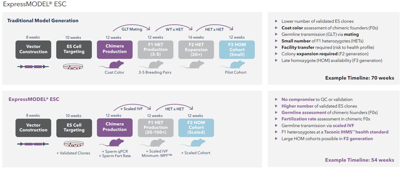 express model timeline