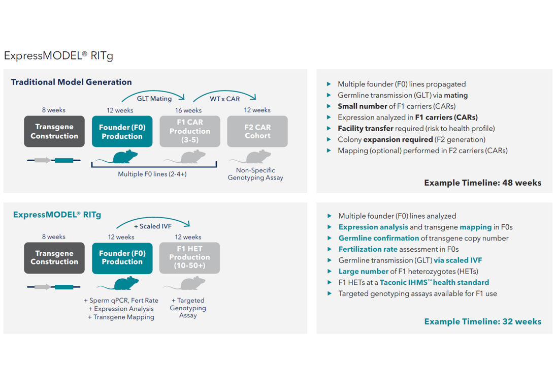 express model timeline