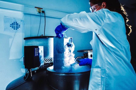 Cryopreservation