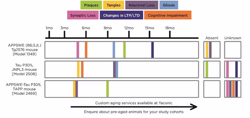 7700 - Neuropathology Table