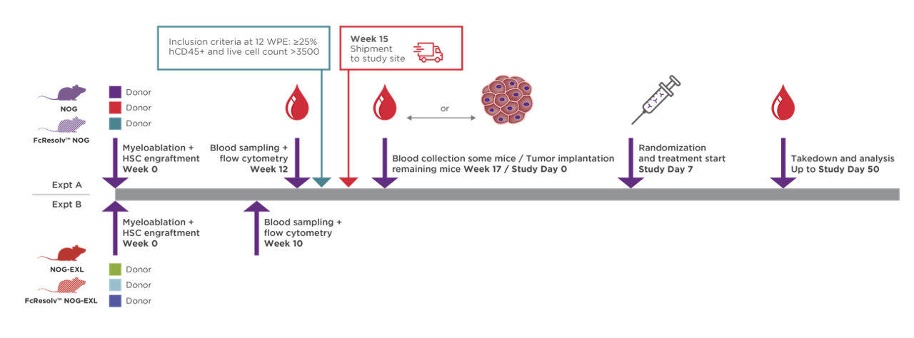 Scientific Poster Demonstrates the Power of FcResolv® NOG Mice ...