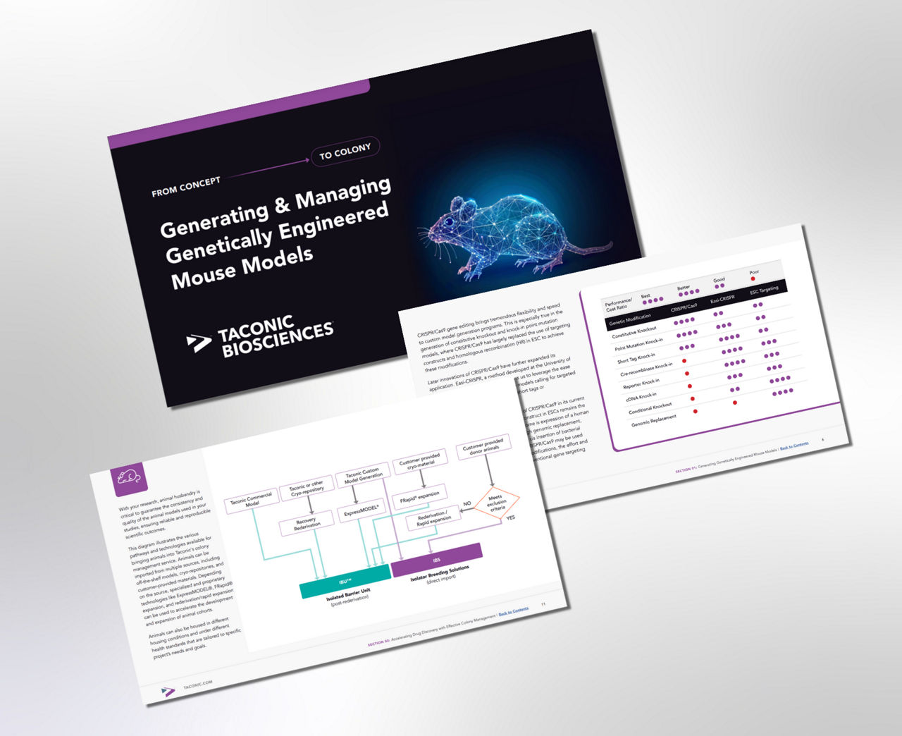 Free eBook: Generating &amp; Managing Genetically Engineered Mouse 