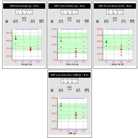 Four sample plots of body weight for individual mice on high fat diet challenge.