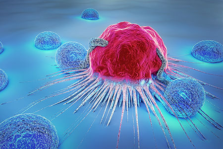 3d illustration of a cancer cell and lymphocytes