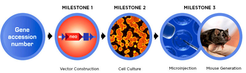 milestone progression chart