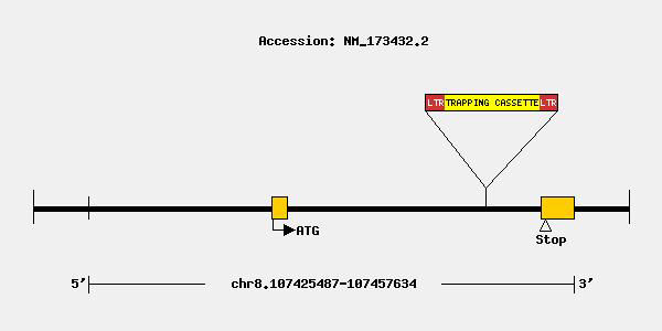 mutation-10127