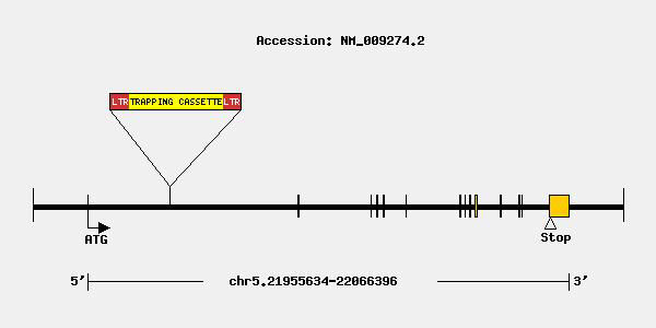 mutation-10133