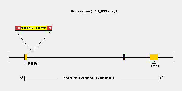 mutation-10325