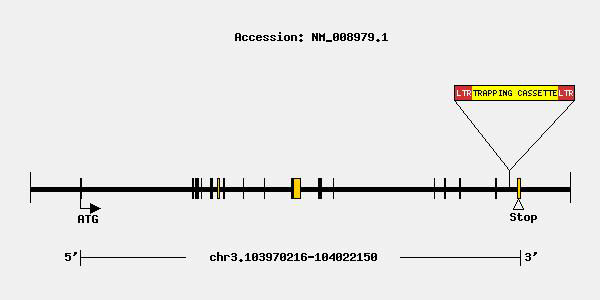 mutation-10395