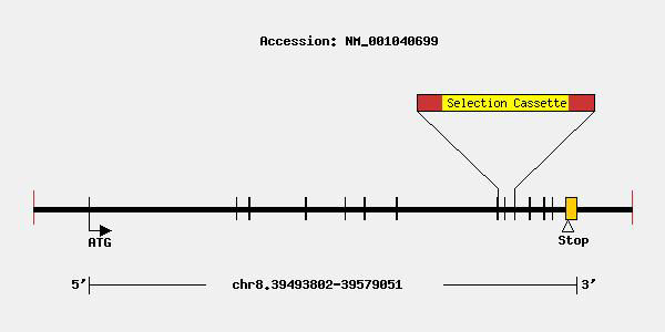 mutation-10400