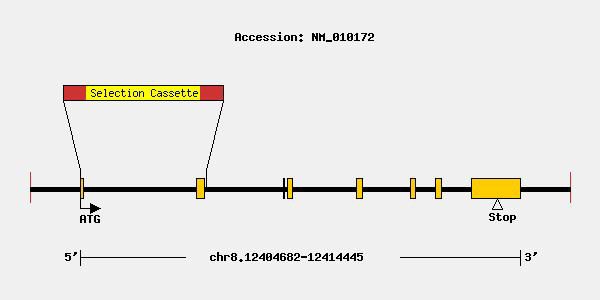 mutation-10481