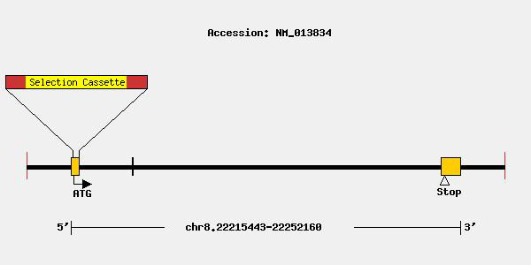 mutation-10542