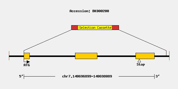 mutation-10578