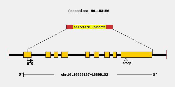 mutation-10652