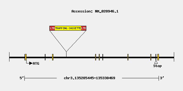 mutation-10690