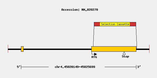 mutation-10727