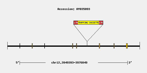 mutation-10741