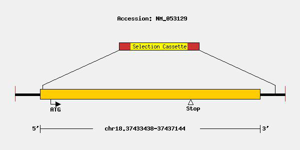 mutation-10772