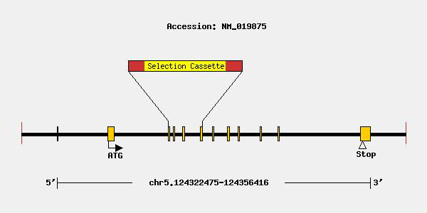 mutation-10846