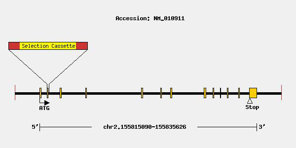 mutation-10892