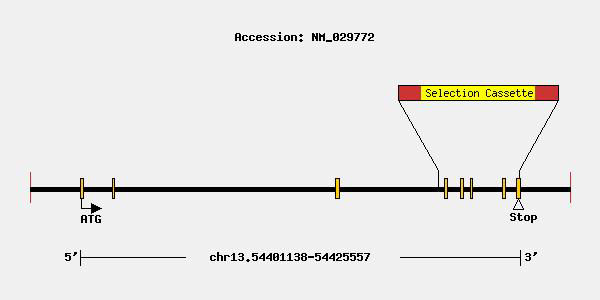 mutation-11128