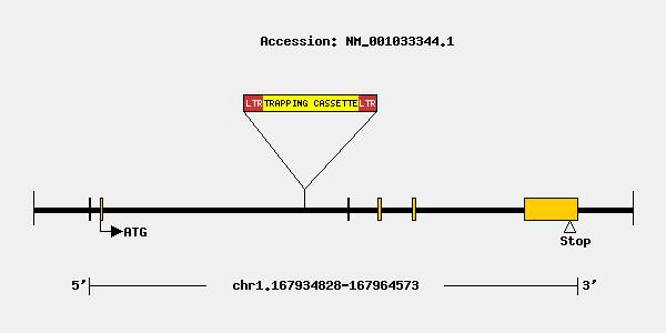 mutation-11331