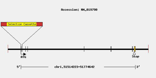 mutation-11476