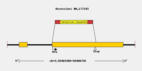 mutation-11489