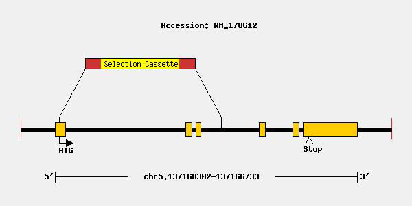 mutation-11504