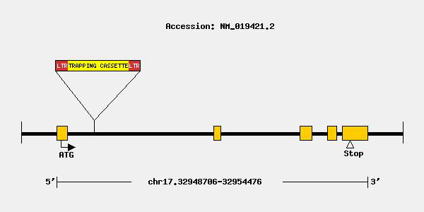 mutation-11524