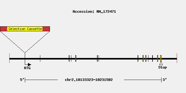 mutation-11666