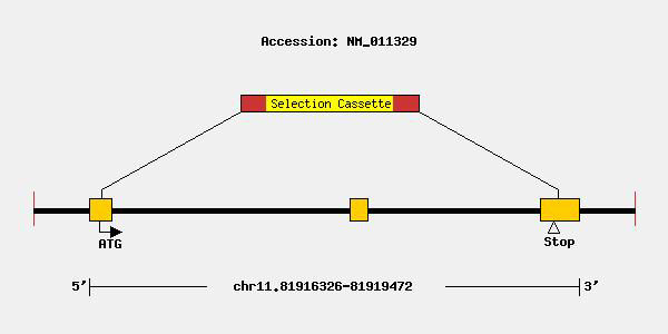 Ccl1 | Taconic Biosciences