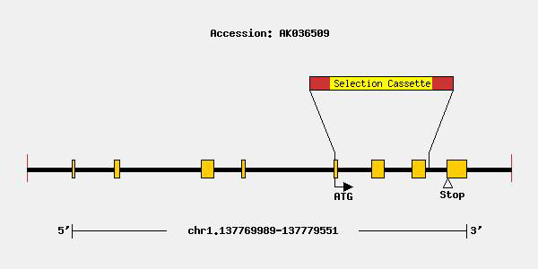 mutation-12225