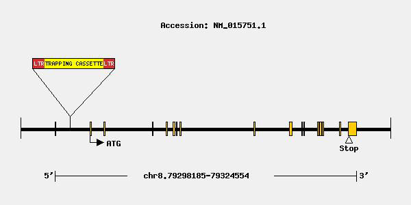 mutation-8314