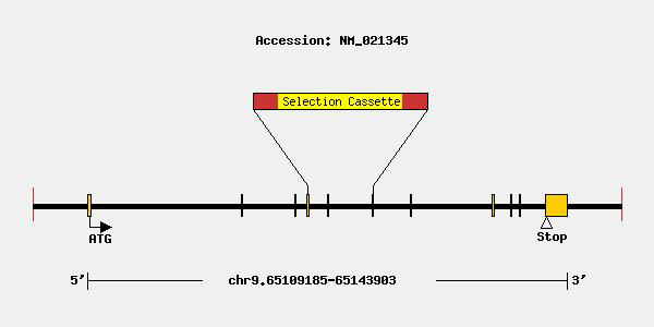 mutation-8334