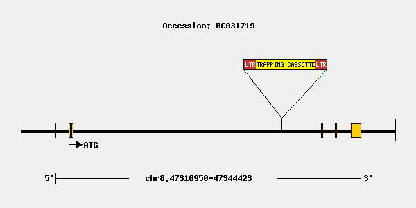 mutation-8415