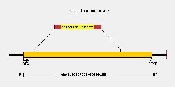 mutation-8484